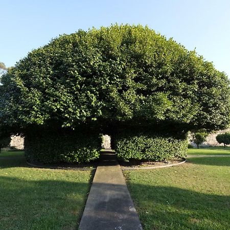 Quinta Das Lavandeiras - Caldas De Vizela Esterno foto