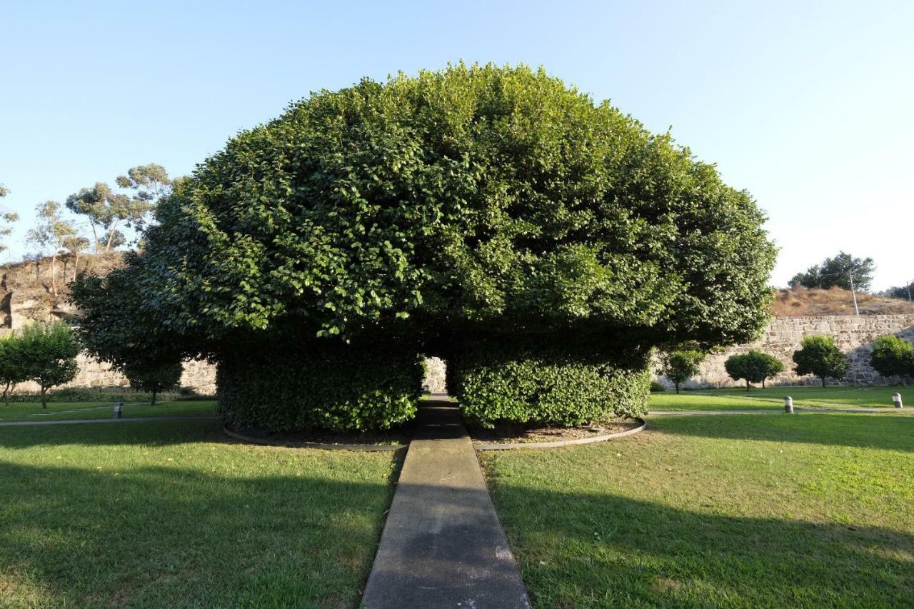 Quinta Das Lavandeiras - Caldas De Vizela Esterno foto